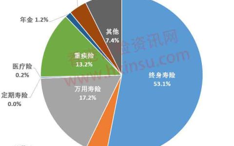 香港友邦（AIA）美元储蓄计划-充裕未来2案例分享（二）