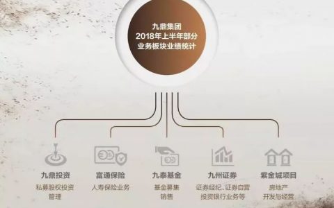 九鼎的未来在哪里？您还购买富通保险吗？