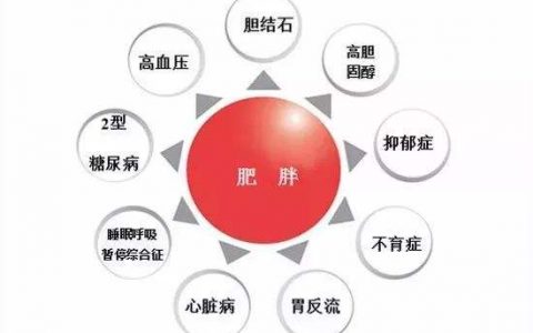 体重超重的人还能买保险吗？