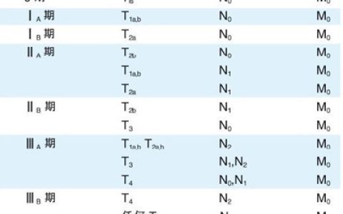 香港保险理赔中癌症分级TNM是什么意思？
