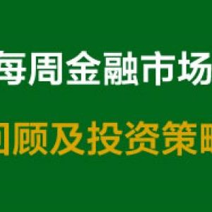每周金融市场回顾及投资策略（2/20/2019）