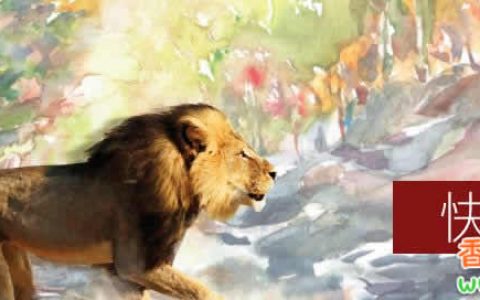 2年缴费期  3年回本  超短期美元保单来袭！