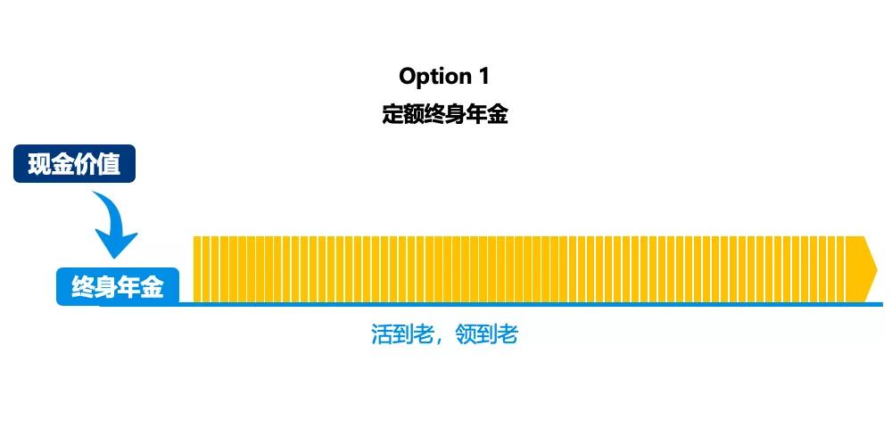 04810efc02e946cd81569e3dc99514b7