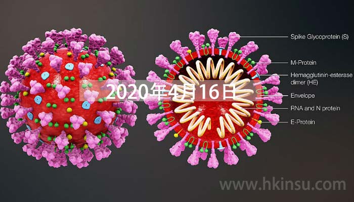 coronavirus structure large