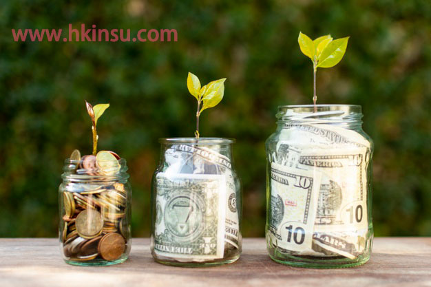 jars filled with money plants top them 23 2148305933