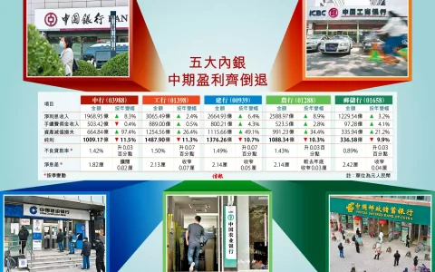 5家内地银行半年盈利均跌一成 不良贷款上升