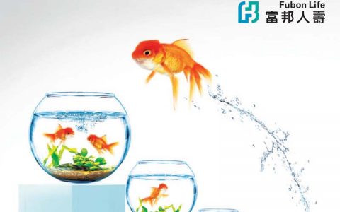 富邦人寿五连跃昇储蓄保险计划