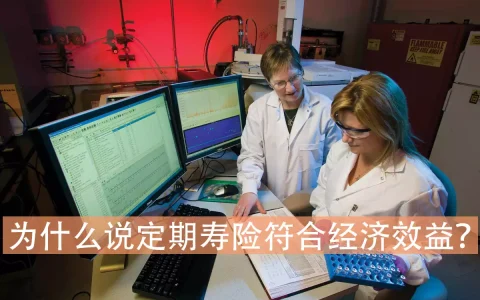 为什么说定期寿险符合经济效益?