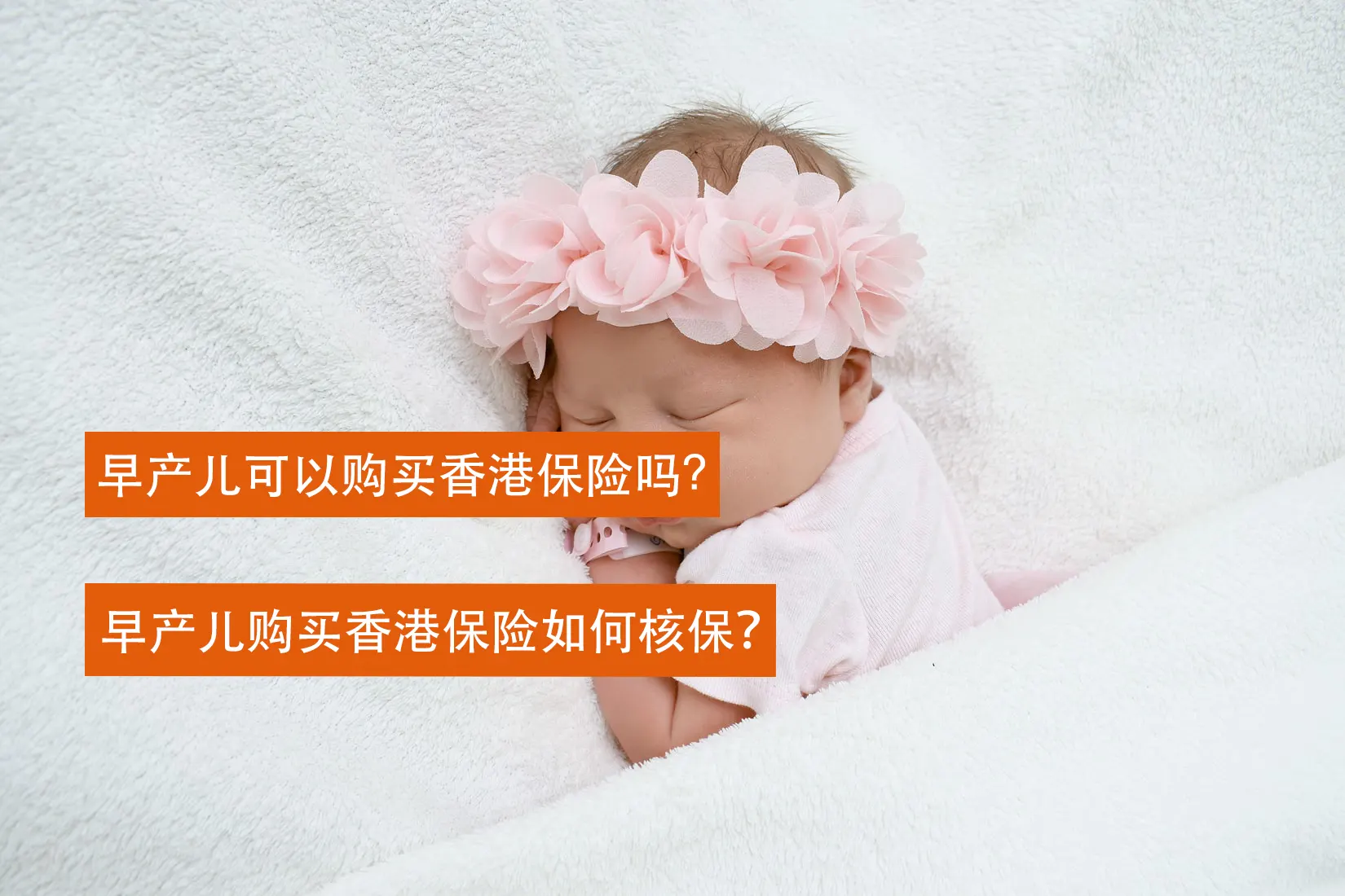 photo 1588103780109 efd303a4527b