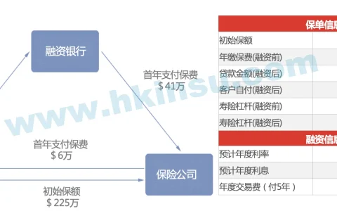 分享一款收益不错的保费融资产品 自付费6万美元  10年退保净赚17万美元