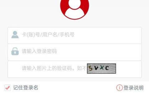 澳门友邦保险保单如何交续期保费？