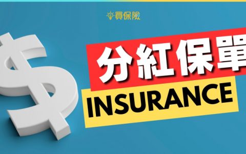 香港储蓄分红险市场对投资者有哪些吸引力？