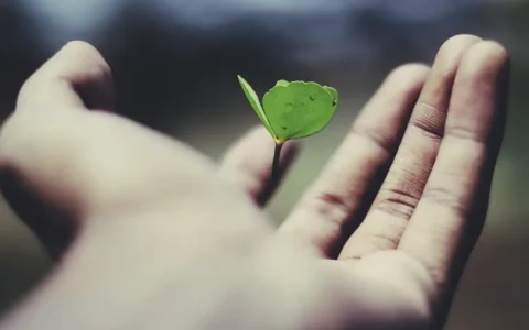 人寿保险有几种？人寿保险种类有哪些？
