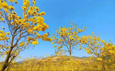 每日财经新闻早知道（2026/02/25）