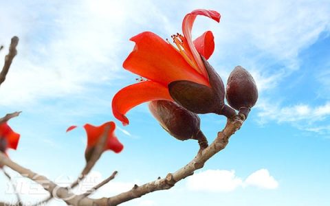 每日财经新闻早知道（2026/03/13）