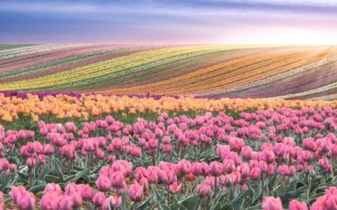 每日财经新闻早知道（2026/03/16）