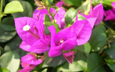 每日财经新闻早知道（2026/03/17）