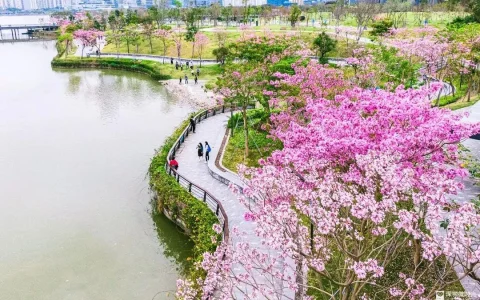 每日财经新闻早知道（2026/03/20）