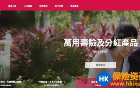 你会用友邦香港电子保单系统查询自己的保单吗？