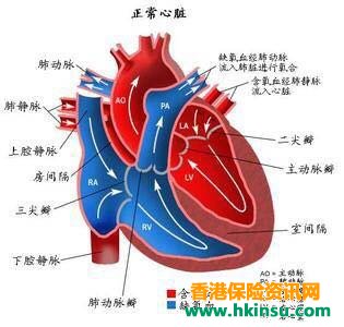 香港保险|儿童重疾常见的核保问题