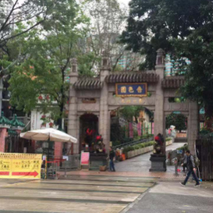 香港保险金雅的头像